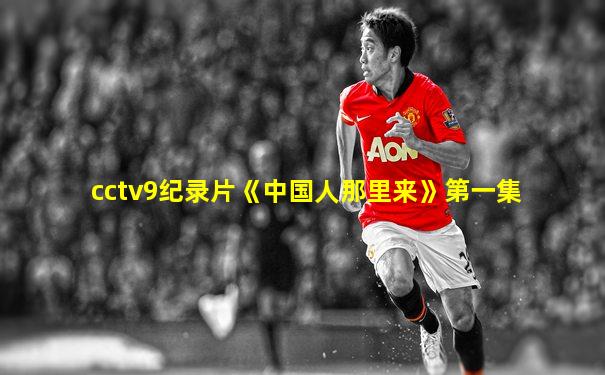 cctv9纪录片《中国人那里来》第一集