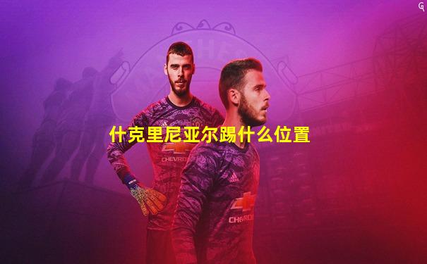 什克里尼亚尔踢什么位置