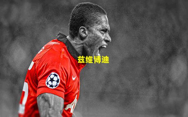 兹维博迪