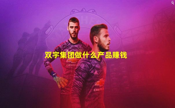双宇集团做什么产品赚钱
