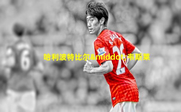 哈利波特比尔·韦斯莱