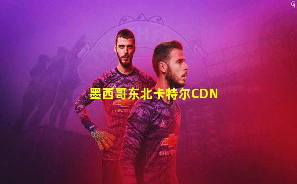 墨西哥东北卡特尔CDN