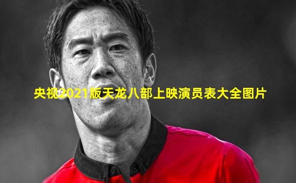 央视2021版天龙八部上映演员表大全图片