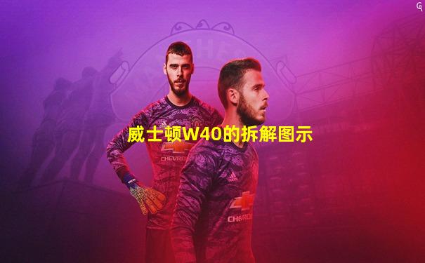 威士顿W40的拆解图示
