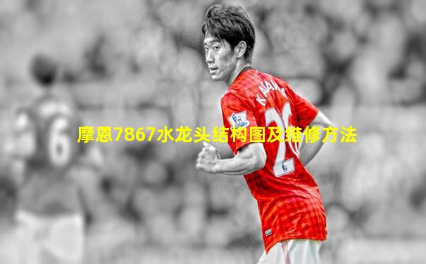 摩恩7867水龙头结构图及维修方法