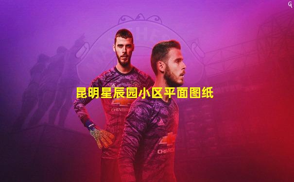 昆明星辰园小区平面图纸