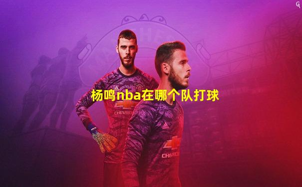 杨鸣nba在哪个队打球
