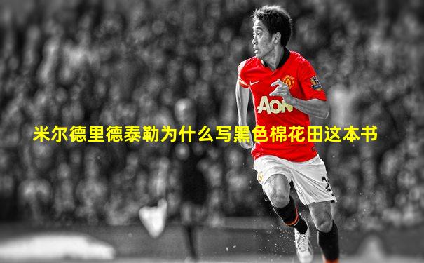米尔德里德泰勒为什么写黑色棉花田这本书
