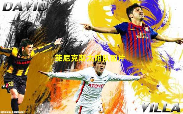 菲尼克斯太阳队图片