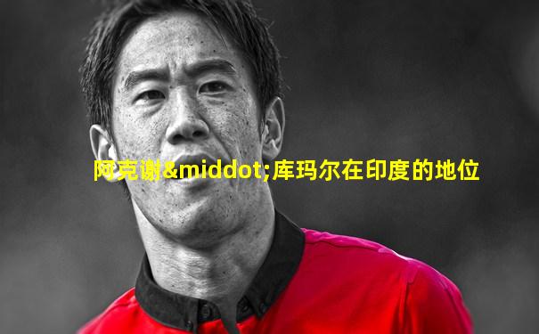 阿克谢·库玛尔在印度的地位